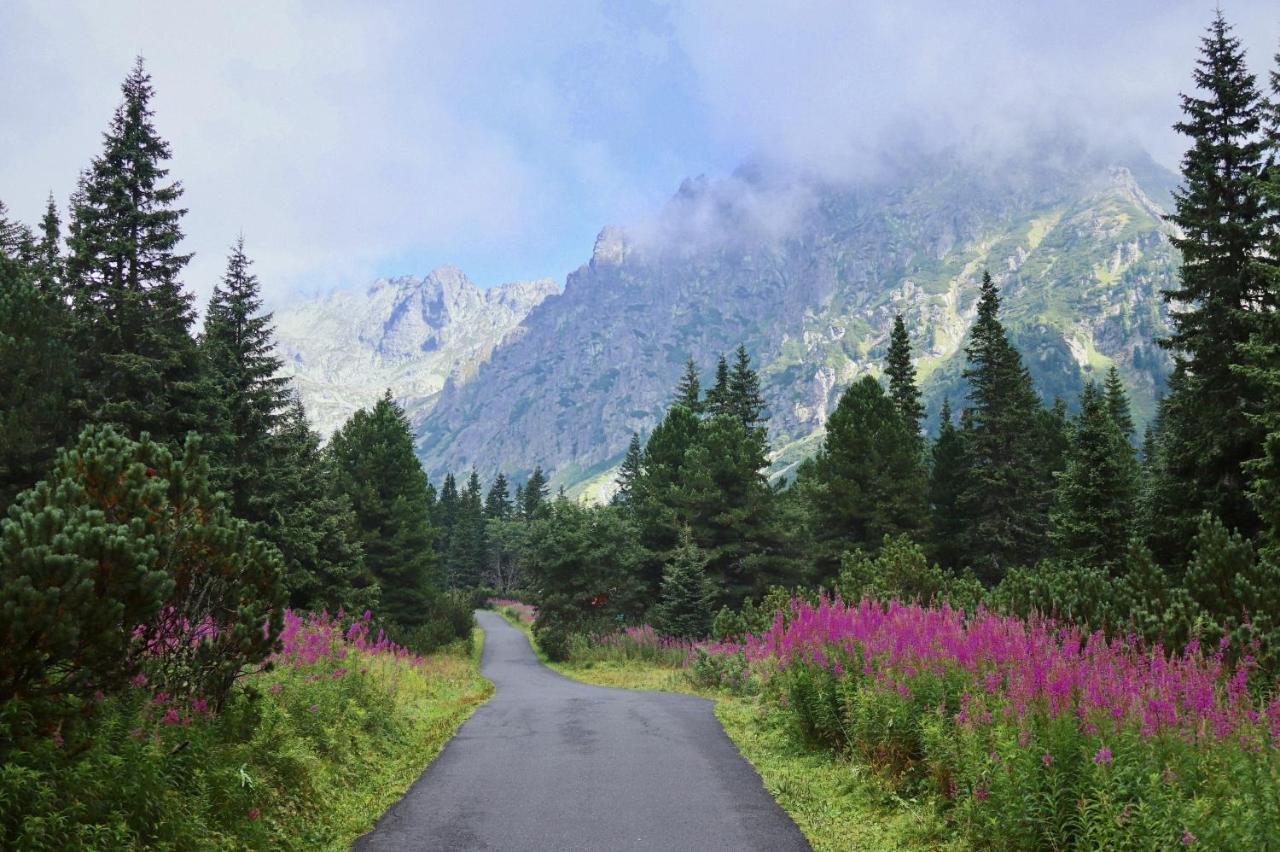 Apartman Primo Martina Daire Vysoké Tatry Dış mekan fotoğraf